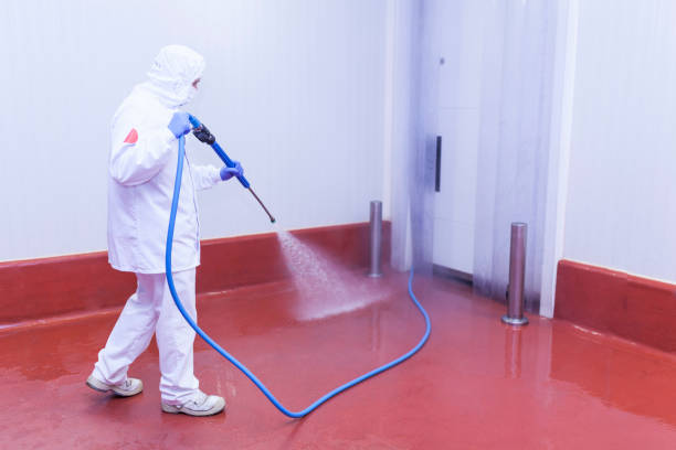 Best Driveway Pressure Washing  in Rensselaer, NY